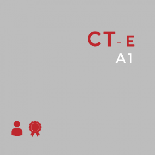 Certificado Digital para Transportadoras A1 (CT-e A1)